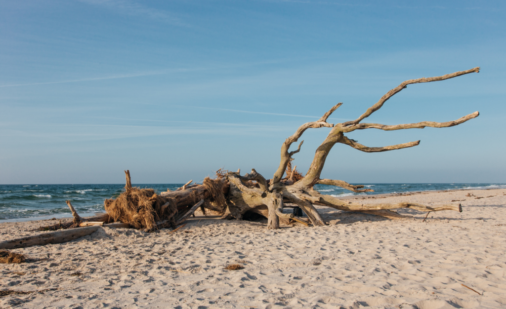  Weststrand Darß