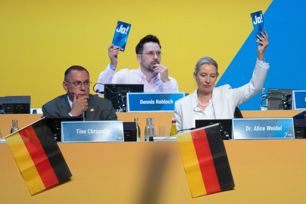 Алісу Вайдель та Тіно Хрупаллу переобрали співкерівниками AfD. Фото - Sebastian Kahnert/dpa