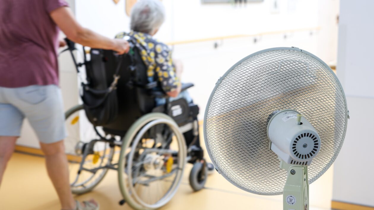 وفاة أكثر من 10 آلاف شخص بسبب ارتفاع درجة الحرارة. Foto: Christoph Reichwein/dpa 
