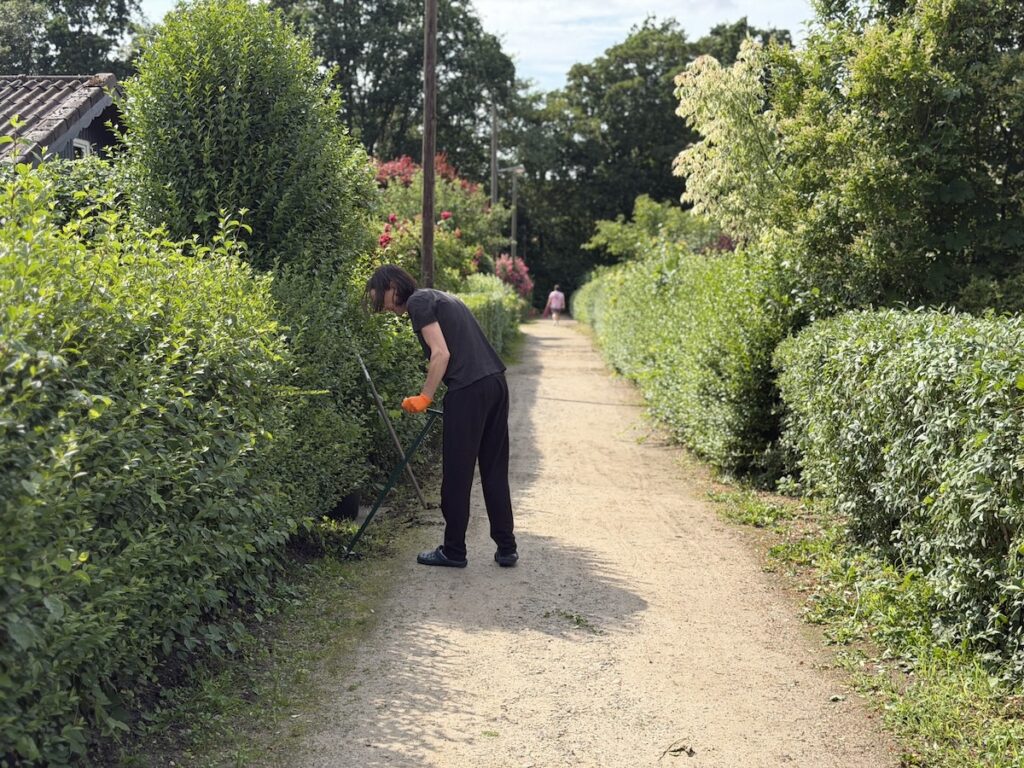 Schrebergärten-Kleingärten-Sommer-Hamburg