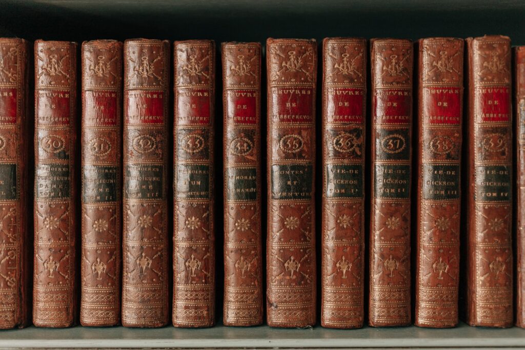 ШІ-пірати полюють за старими книгами у Німеччині