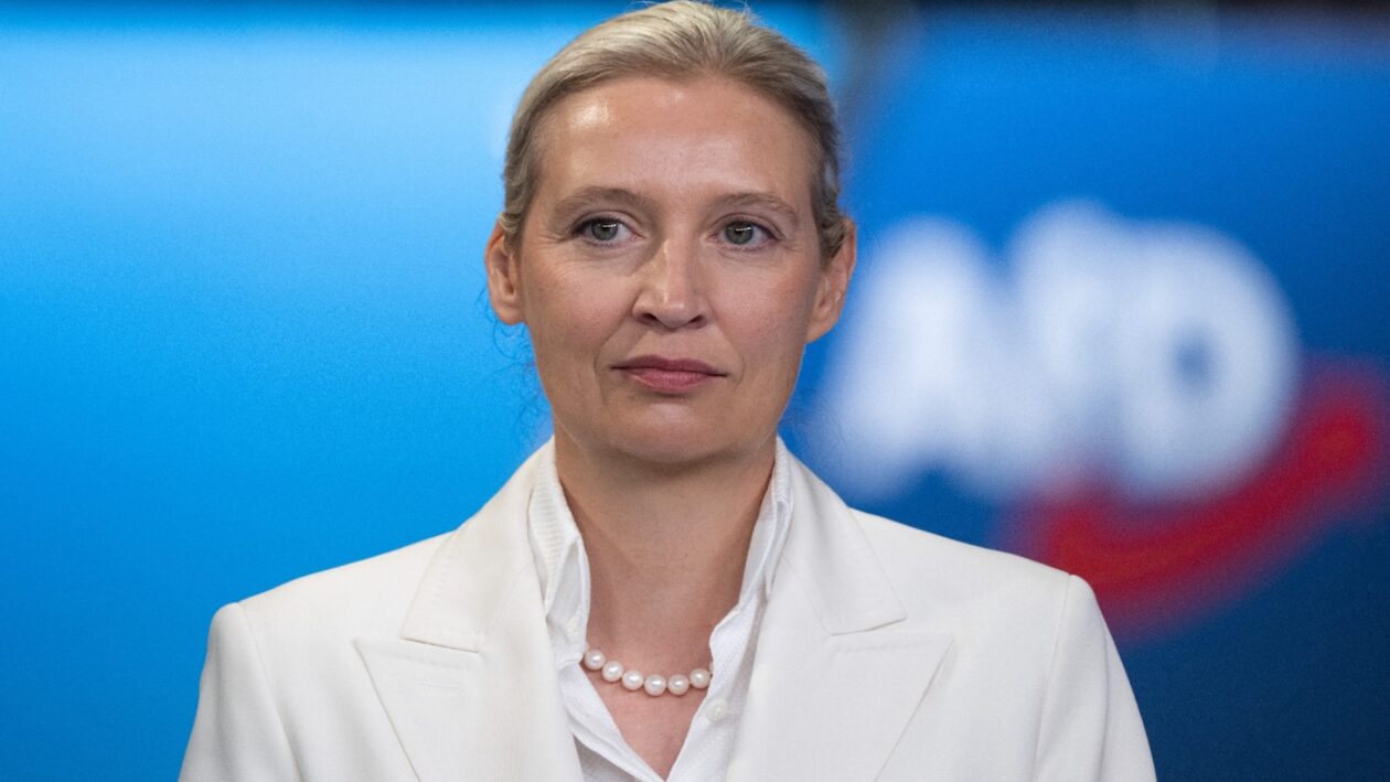 صورة لرئيسة حزب «البديل من أجل ألمانيا» أليس فايدل (Foto: Sebastian Kahnert/dpa)