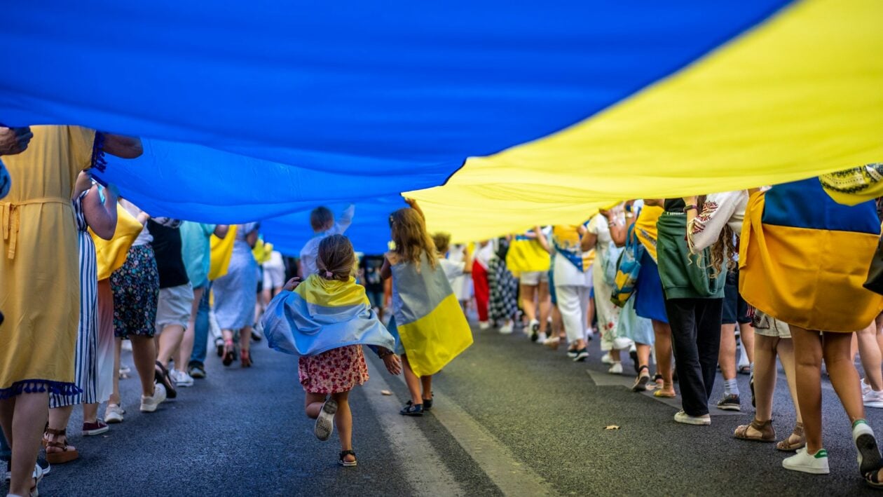 © Anastasiia Krutota / Unsplash