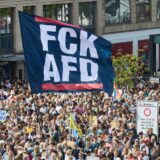 AFD-Sachsen-Anhalt-Bildungssystem
