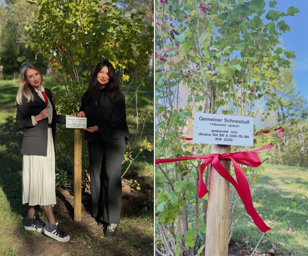 У парку Бад-Наугайма висадили калину. Фото - Юлія Мехеда