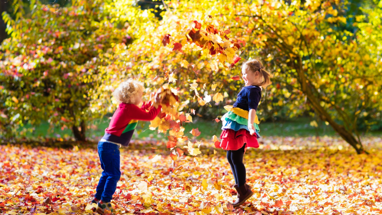 صورة تعبيرية لنزهة في فصل الخريف 
Foto: Canva Pro